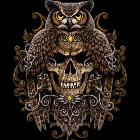 Skull and Owl by Sarah Richter MacBook Skins