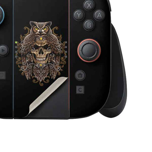 Skull and Owl by Sarah Richter Nintendo Switch 2 (2025) Joy-Con Controller Skin