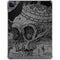 Alchemy Carta Skull Sketch iPad Cases
