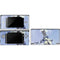 Sliver Warrior by Frazetta DS Lite Skin