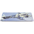 Sliver Warrior by Frazetta Apple iPad Air Skin
