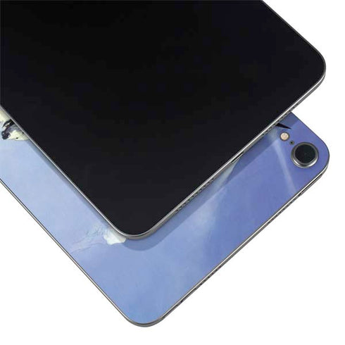 Sliver Warrior by Frazetta Apple iPad Mini Skin