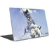 Sliver Warrior by Frazetta Dell XPS Skin