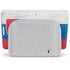Slovakia Flag Distressed Google Home Hub Skin