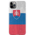 Slovakia Flag Distressed iPhone Cases
