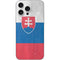 Slovakia Flag Distressed iPhone 16 Pro Max Skin