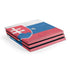 Slovakia Flag Distressed PlayStation PS4 Skins