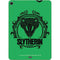 Wizarding Worlds Harry Potter Slytherin Illustration Apple iPad Air Skin