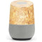 Sneakerhead Shine Google Home Skin