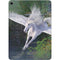Soaring Pegasus by Laurie Prindle Apple iPad Air Skin