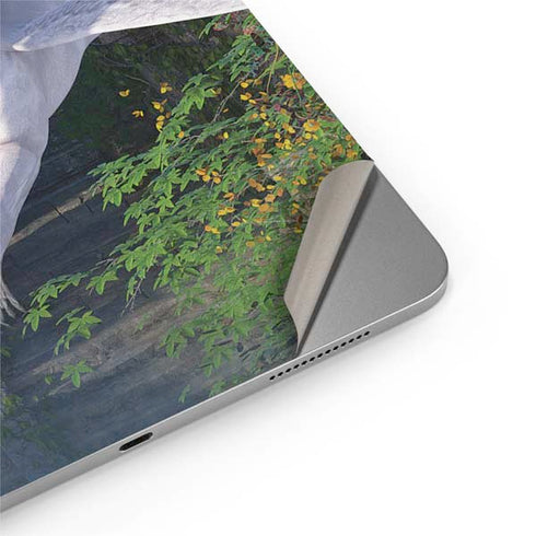 Soaring Pegasus by Laurie Prindle Apple iPad Air Skin