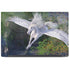 Soaring Pegasus by Laurie Prindle Dell Latitude Skin