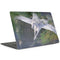 Soaring Pegasus by Laurie Prindle MacBook Skins