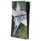 Soaring Pegasus by Laurie Prindle PS5 Slim Digital Edition Console Skin