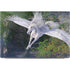 Soaring Pegasus by Laurie Prindle Dell XPS Skin