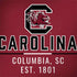 University of South Carolina Columbia SC, EST. 1801 PlayStation 4 Gold Wireless Headset Skin