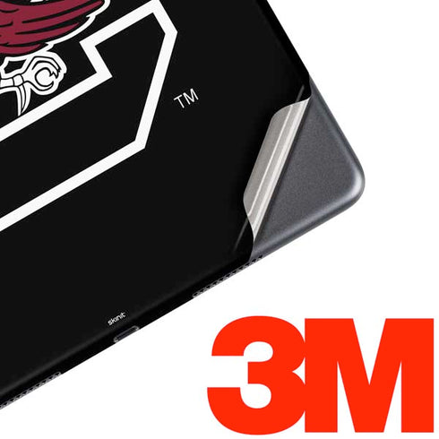 University of South Carolina Gamecocks Logo Black iPad Skins