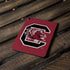 University of South Carolina Gamecocks Logo Red Apple iPad Pro Skin