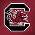 University of South Carolina Gamecocks Logo Red Dell Latitude Skin
