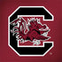 University of South Carolina Gamecocks Logo Red MacBook Skins