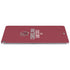 University of South Carolina Gamecocks Red Apple iPad Air Skin