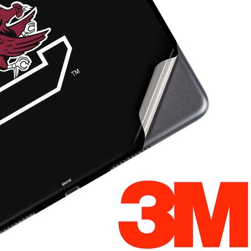 University of South Carolina Athletic Text & Logo iPad Skins