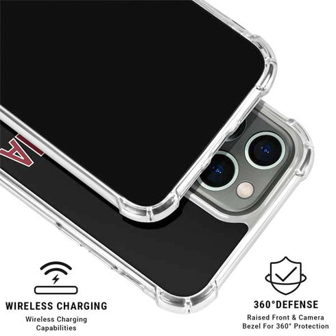 University of South Carolina Athletic Text & Logo iPhone 16 Pro Max Clear Case