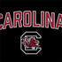 University of South Carolina Athletic Text & Logo Dell Latitude Skin