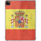 Spain Flag Distressed iPad Pro 11in (2024) Clear Case