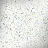Speckled Funfetti Dell Latitude Skin