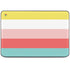 Spring Stripes HP Chromebook Skin