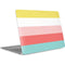 Spring Stripes Apple MacBook Air Skin