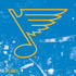 NHL St. Louis Blues Iced Nintendo 2DS XL (2017) Skin