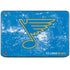 NHL St. Louis Blues Iced HP Chromebook Skin