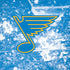 NHL St. Louis Blues Iced iPhone X Pro Case