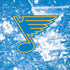 NHL St. Louis Blues Iced iPhone XR Pro Case