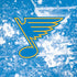 NHL St. Louis Blues Iced iPhone XR Skin