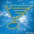 NHL St. Louis Blues Iced Dell Latitude Skin
