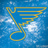 NHL St. Louis Blues Iced Legion Y720 Skin
