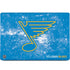NHL St. Louis Blues Iced MacBook Skins