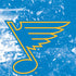 NHL St. Louis Blues Iced Otterbox Commuter Galaxy Skin