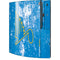 NHL St. Louis Blues Iced Playstation 3 & PS3 Skin
