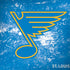 NHL St. Louis Blues Iced Surface Book 2 13.5in Skin