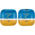 NHL St. Louis Blues Jersey PowerBeats Pro Skin