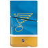 NHL St. Louis Blues Jersey PS5 Slim Disk Bundle Skin