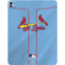 MLB St. Louis Cardinals Alternate/Away Jersey iPad Pro 13in M4 (2024) Skin