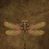 Steampunk & Gear Dragonfly by Brigid Ashwood Moto G6 Skin