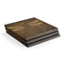 Steampunk & Gear Dragonfly by Brigid Ashwood PlayStation PS4 Skins