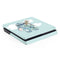 Disney Lilo and Stitch Stitch and Scrump PS4 Slim Skin