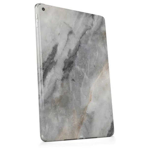 Stone Taupe Apple iPad Skin